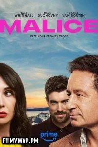 Malice (2025) Season 1 Hindi Web Series