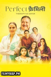 Perfect Family (2025) Season 1 Hindi Web Series